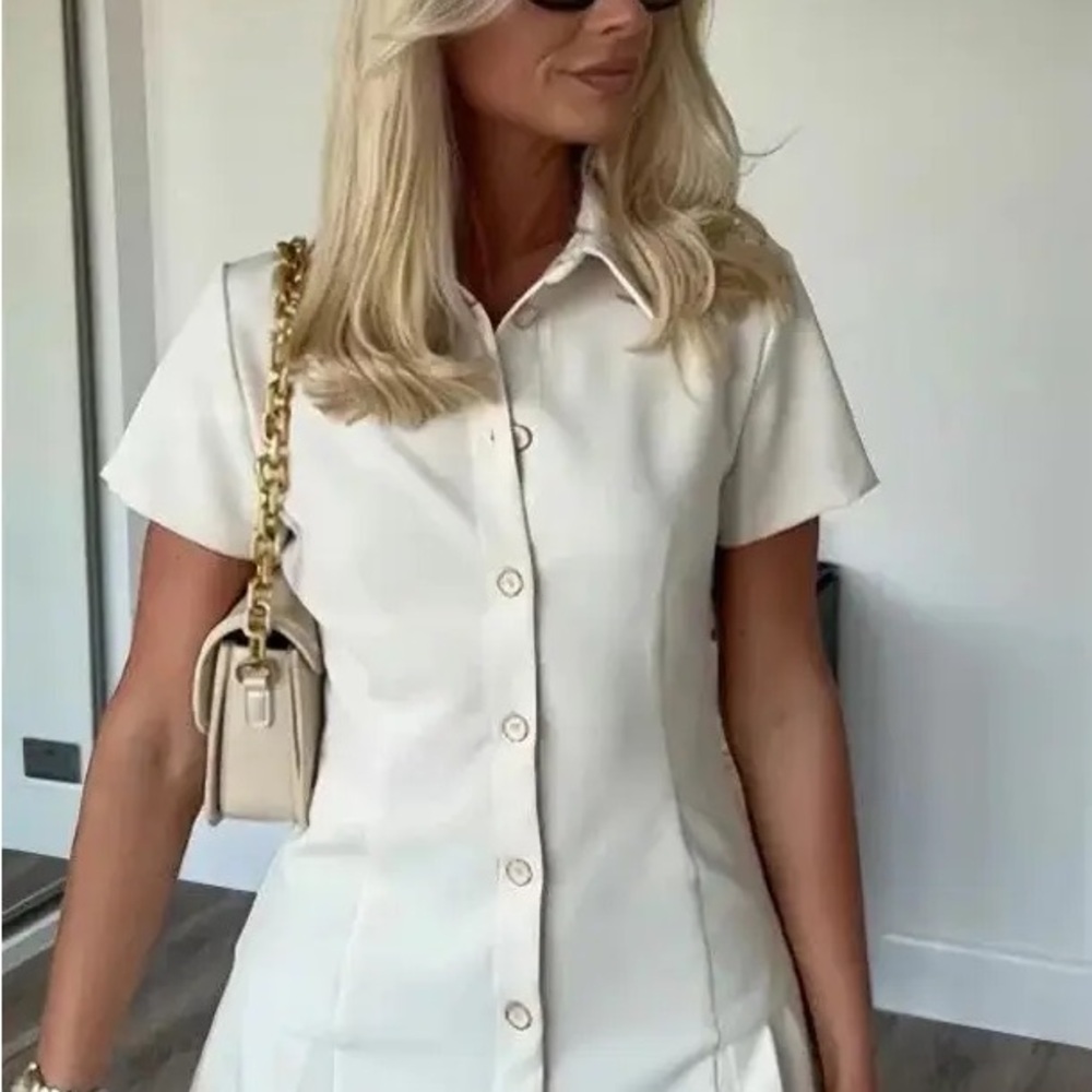 Zara Pleated Mini Dress